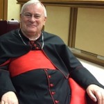 «Follia terroristica»